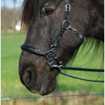 Calli Love Hackamore Bitless Bridle & Reins